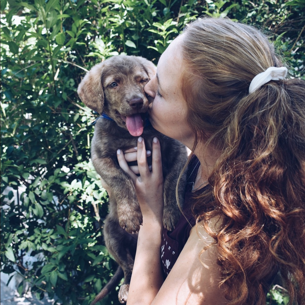 Meet your Posher, Zoë